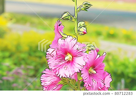 粉彩風格的“蜀葵”插圖圖像 粉彩風格的“蜀葵”插圖圖像 80712283