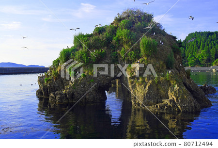 Black-tailed gulls flock to Anakushima in the Yogai fishing port in Rikuzentakata City, Iwate Prefecture Black-tailed gulls flock to Anakushima in the Yogai fishing port in Rikuzentakata City, Iwate Prefecture 80712494