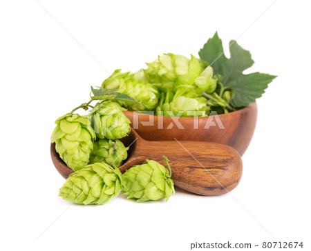 Fresh green hops branch in wooden bowl and spoon, isolated on a white background. Hop cones with leaf. Organic Hop Flowers. Close up. Fresh green hops branch in wooden bowl and spoon, isolated on a white background. Hop cones with leaf. Organic Hop Flowers. Close up. 80712674