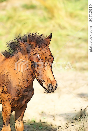 Pastel style "pony horse" illustration image 80712919