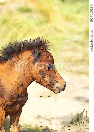 Pastel style "pony horse" illustration image Pastel style "pony horse" illustration image 80712920