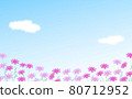 Cosmos and blue sky 80712952