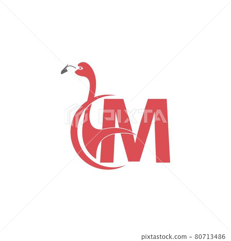 Letter M with flamingo bird icon logo vector Letter M with flamingo bird icon logo vector 80713486