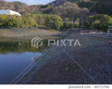 光之花園_雷歐瑪度假村 光之花園_雷歐瑪度假村 80713760