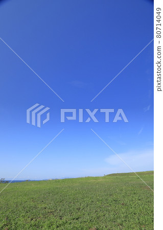 Blue sky and prairie Blue sky and prairie 80714049
