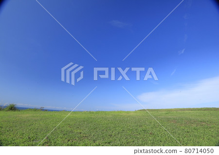Blue sky and prairie Blue sky and prairie 80714050