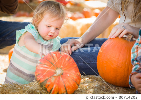 Adorable Young Family Enjoys a Day at the Pumpkin Patch. Adorable Young Family Enjoys a Day at the Pumpkin Patch. 80714202
