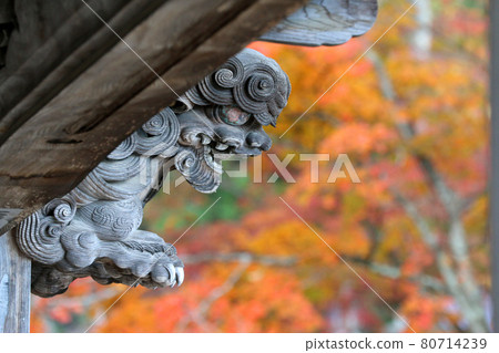 Fall of Fukuman Kikkoson Enzouji (Fukushima Prefecture, Yanaizucho) 80714239