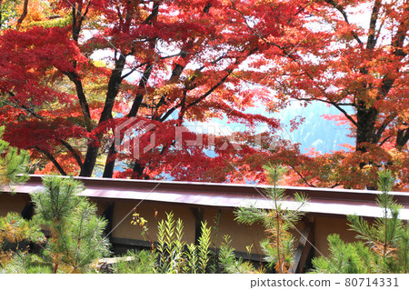 Fall of Fukuman Kikkoson Enzouji (Fukushima Prefecture, Yanaizucho) 80714331