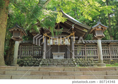 Su訪Taisha Maemiya服務中心 Su訪Taisha Maemiya服務中心 80714348
