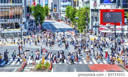東京街景澀谷十字路口 80714351