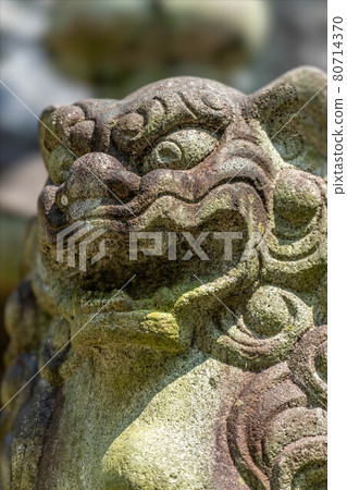 鹿城神社 鹿城神社 80714370