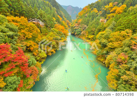 Emerald green valley and autumn leaves seen from Kazumakyo Bridge in Okutama Town, Tokyo Emerald green valley and autumn leaves seen from Kazumakyo Bridge in Okutama Town, Tokyo 80714398