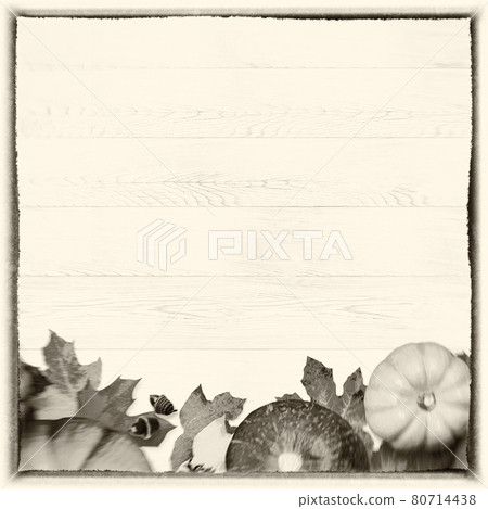 Analog photo-style background illustration with the image of autumn Analog photo-style background illustration with the image of autumn 80714438