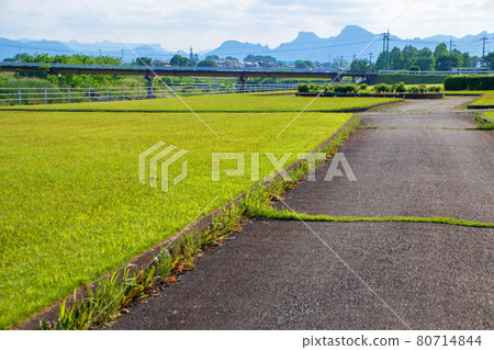 Usui River riverbed, Mt. Myogi direction, near Nishige Sports Park, early summer scenery Usui River riverbed, Mt. Myogi direction, near Nishige Sports Park, early summer scenery 80714844