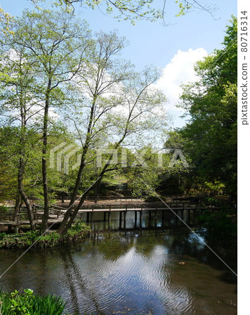 垂直拍攝的小湖上的一座橋 80716314