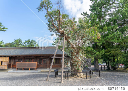 Shimotsu神社 80716450