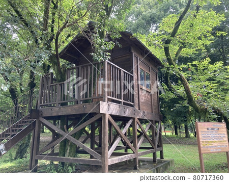 It is a small tree house in the Aviation Memorial Park. 80717360