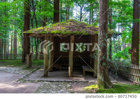 里瓦裡瀑布 80717450