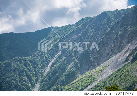 夏天的大山山脈 夏天的大山山脈 80717478