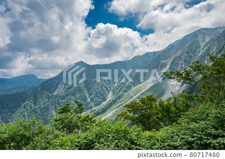 Oyama mountain range in summer Oyama mountain range in summer 80717480