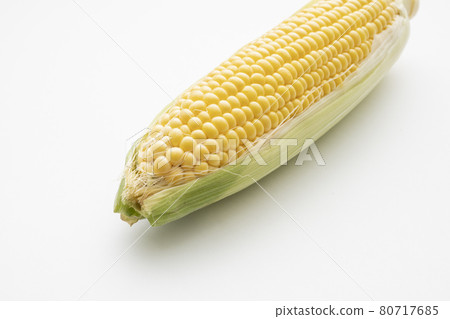 玉米 玉米 80717685