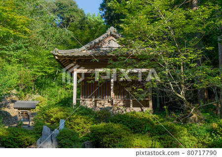 妙樂寺 妙樂寺 80717790