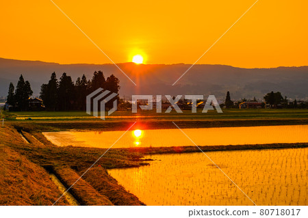 Rural scenery in early summer (dusk) 80718017