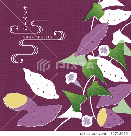 Sweet potato illustration-2 / Tenugui style / Japanese pattern 80718083
