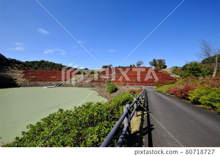 Autumn lakeside road [Tsukui, Sagamihara City, November] 80718727