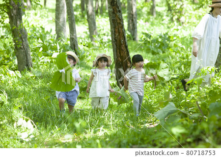 Children playing in the forest Children playing in the forest 80718753