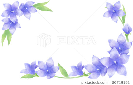 水彩風格,桔梗花裝飾材料插圖(橫置) 水彩風格,桔梗花裝飾材料插圖(橫置) 80719191