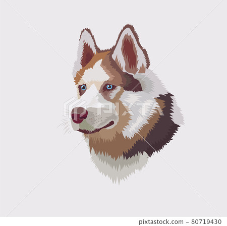 Siberian husky head with blue eyes vector 80719430