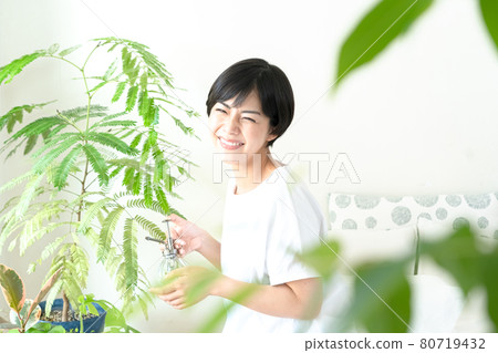 照顧觀葉植物的女人 80719432