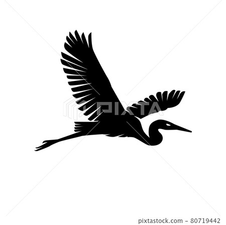 Heron or Stork Bird Silhouettes 80719442