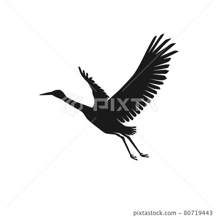 Heron or Stork Bird Silhouettes 80719443