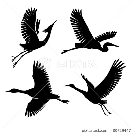 Heron and Stork Bird Silhouettes collection 80719447