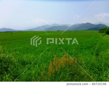 Mountains in Hidaka Town, Hokkaido Mountains in Hidaka Town, Hokkaido 80720146