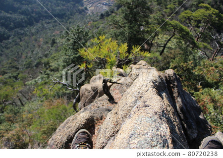 廣島縣鎌倉寺山路 80720238