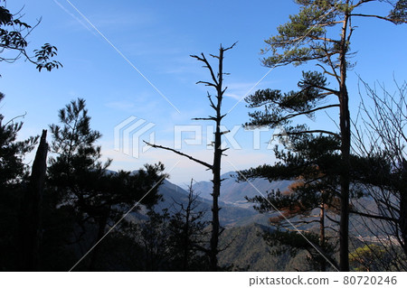 廣島縣鎌倉寺山路 廣島縣鎌倉寺山路 80720246