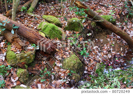 Mountain trail of Mt. Kamakuraji in Hiroshima Prefecture Mountain trail of Mt. Kamakuraji in Hiroshima Prefecture 80720249