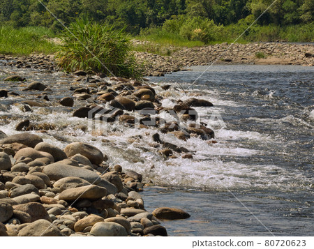夏季的嘉治河 80720623