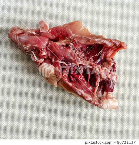 A demonstration of a raw chicken skeleton on a white textured background, part 2 of 2. 80721137