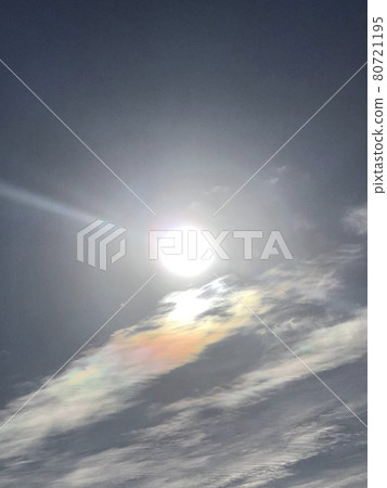 SaiHikari SaiHikari 80721195