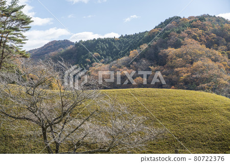 靜谷學校的秋葉 靜谷學校的秋葉 80722376