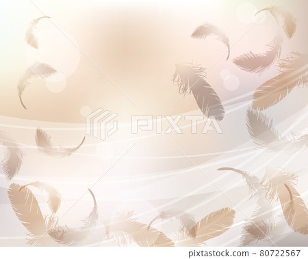 Background of feathers Background of feathers 80722567