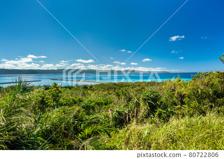 Top view of a tropical island port, amazing turquoise sea, green vegetation, blue sky. Southern Japan. 80722806