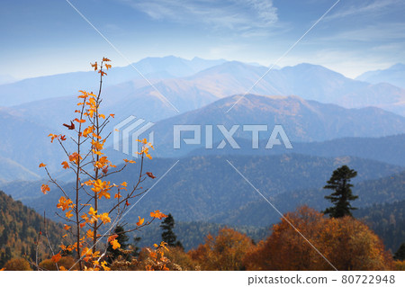 Amazing Caucasus nature reserve in Russia Amazing Caucasus nature reserve in Russia 80722948