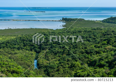 Amazing top view of a lush mangrove forest, stunning sea in blue tones, islands in the background. Iriomote Island. Amazing top view of a lush mangrove forest, stunning sea in blue tones, islands in the background. Iriomote Island. 80723213