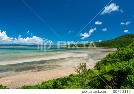 Lush hillside of Iriomote island, gradient blue sea, blue sky, scattered clouds, green coastal vegetation. Iriomote Island. Lush hillside of Iriomote island, gradient blue sea, blue sky, scattered clouds, green coastal vegetation. Iriomote Island. 80723313
